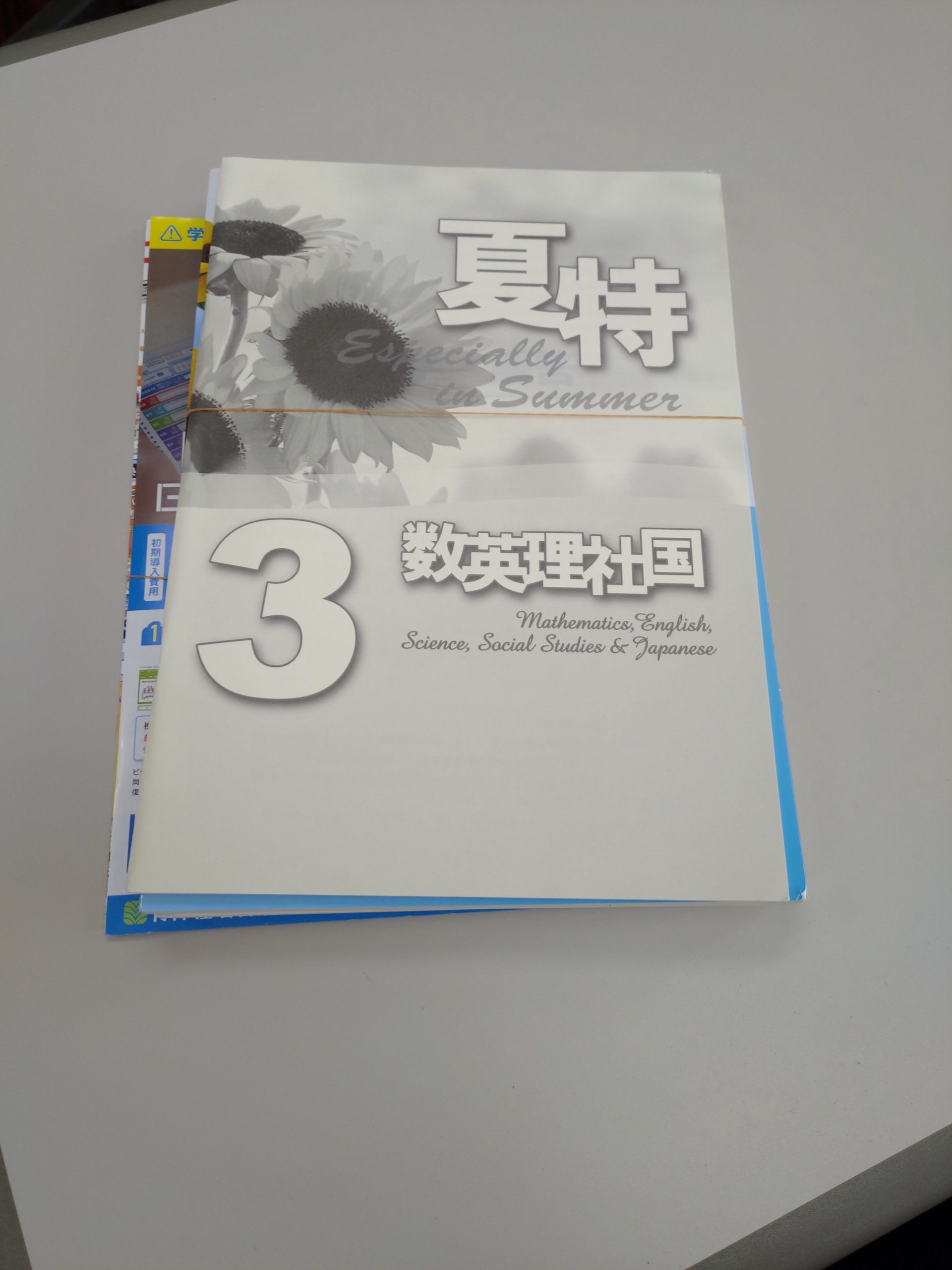 浜学園5年 国算理 テキスト 春期/夏期/冬期講習テキスト 2017年度版の+