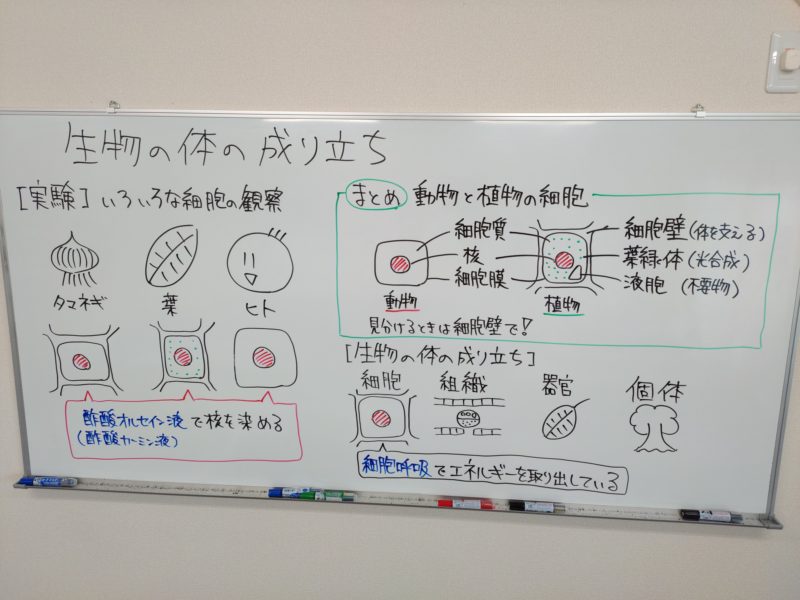 授業動画 生物の体と細胞 学習塾 想学館