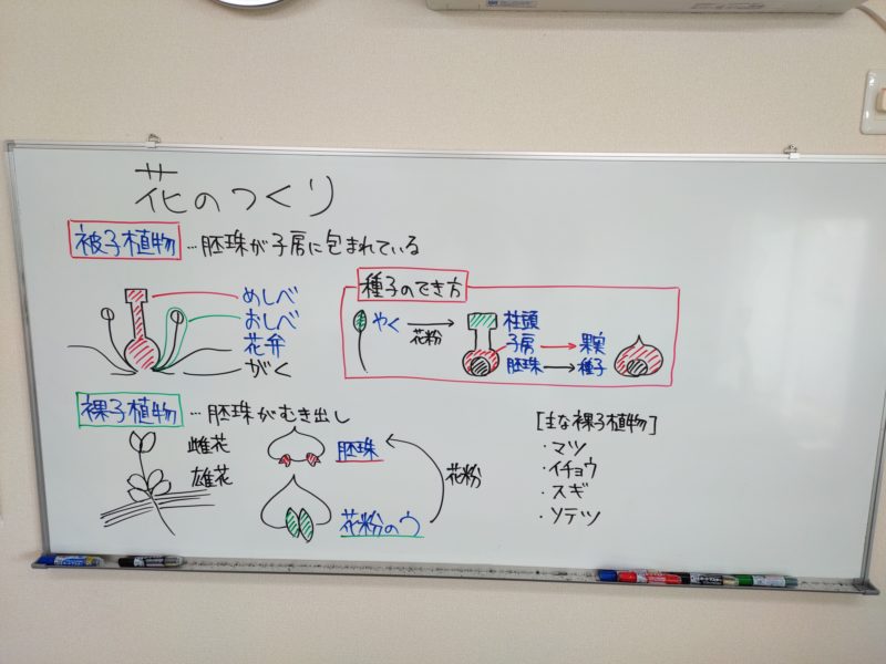 動画 花のつくり 学習塾 想学館