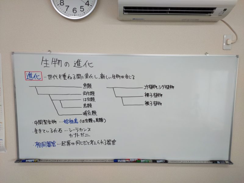 動画 生物の進化 学習塾 想学館